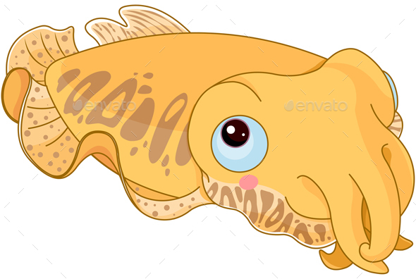 GraphicRiver Cuttle Fish 21109121