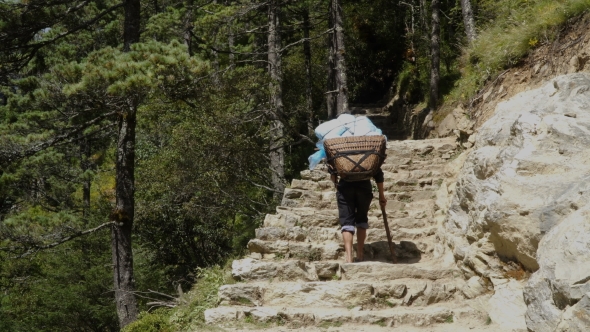 Porter Is Carrying a Cargo in the Himalayas alt