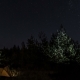 Tourist Tent in the Night Forest - VideoHive Item for Sale