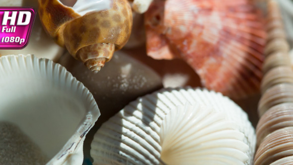 Souvenirs From A Holiday At Sea alt