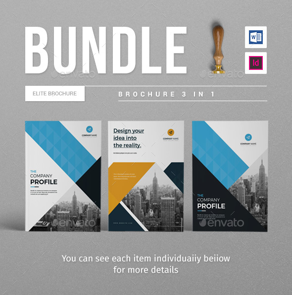 Company Brochure Bundle - Catalogs Brochures