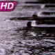 Rainy Day In The City - VideoHive Item for Sale