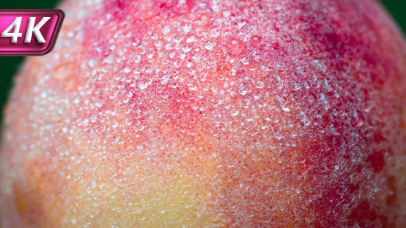Peach Covered With Dewdrops alt
