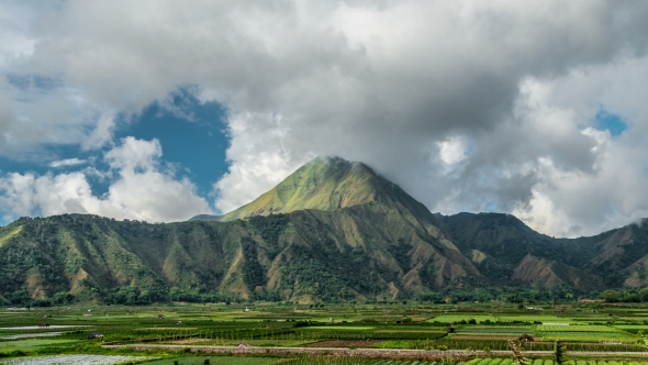 View Field at Sembalun Hill, Lombok Island, Indonesia alt