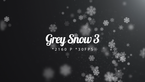 Grey Snow 3