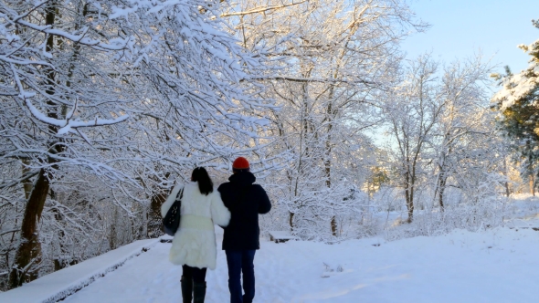 A Couple Walks Along the Snow-covered Park and Pour Out Snow From the Branches