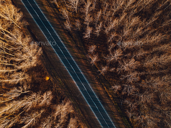 Aerial view of brand new road through autumn forest - Stock Photo - Images