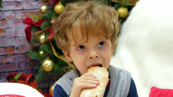 A Boy Is Eating a Bun on the Background of a Christmas Tree