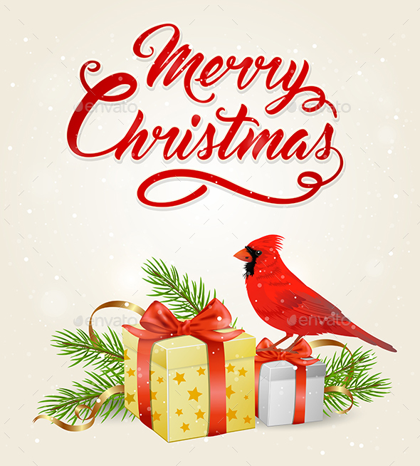 Red Cardinal Bird and Gifts - Christmas Seasons/Holidays