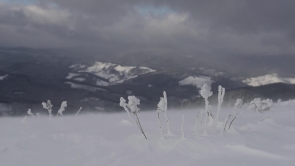 Snowstorm in Winter Mountains