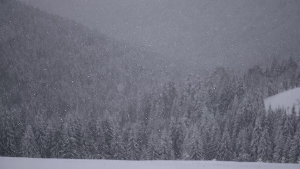 Snowstorm in Winter Mountains