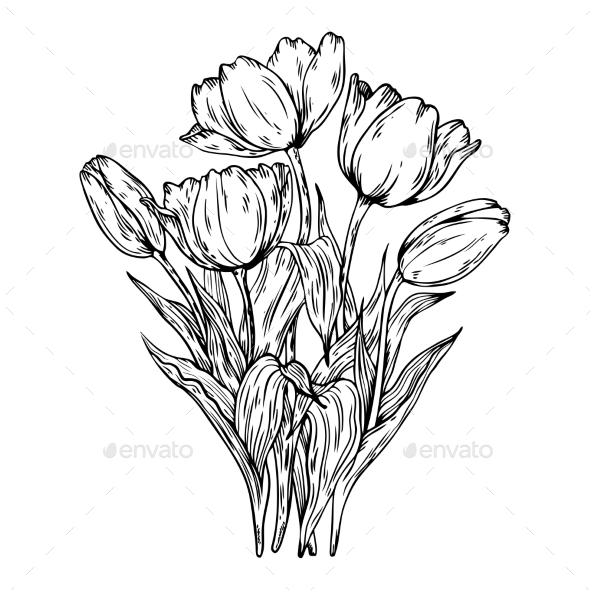 GraphicRiver Bouquet of Tulips Vector Illustration 21125399 GraphicRiver Bouquet of Tulips Vector Illustration 21125399