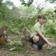 The Girl Feeds Wild Monkeys - VideoHive Item for Sale
