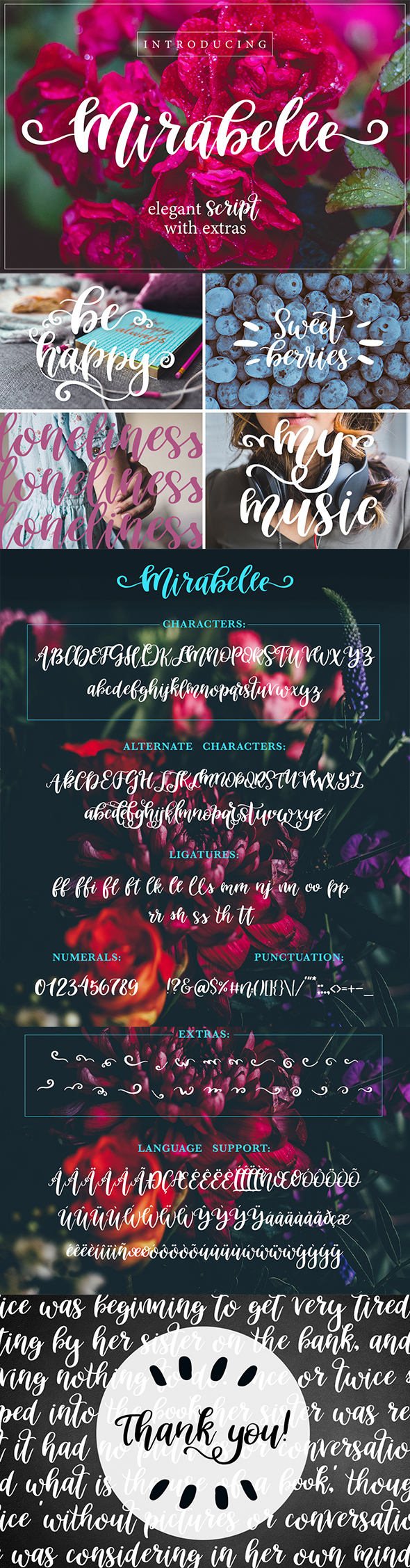 Mirabelle Script Font with Extras! - Calligraphy Script