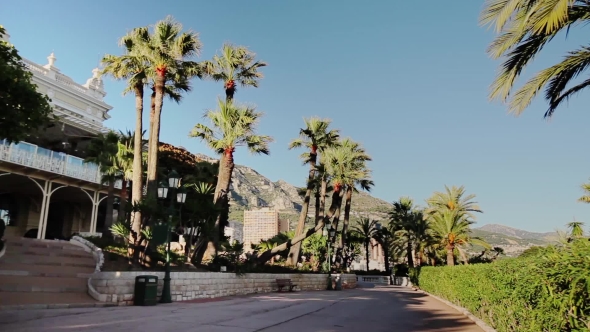 Monaco City Town Monte Carlo Street Palm Sunny Day alt