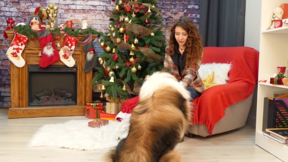 A Girl with a Dog Celebrating Christmas