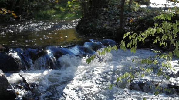 Rapid Stream, River Water Flowing Through the Stones, Wonderful Nature Scene of Wilderness