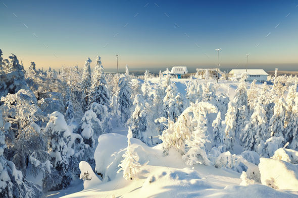 Fairy winter landscape with snow covered trees - Stock Photo - Images
