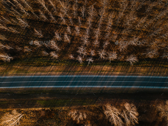 Aerial view of brand new road through autumn forest - Stock Photo - Images
