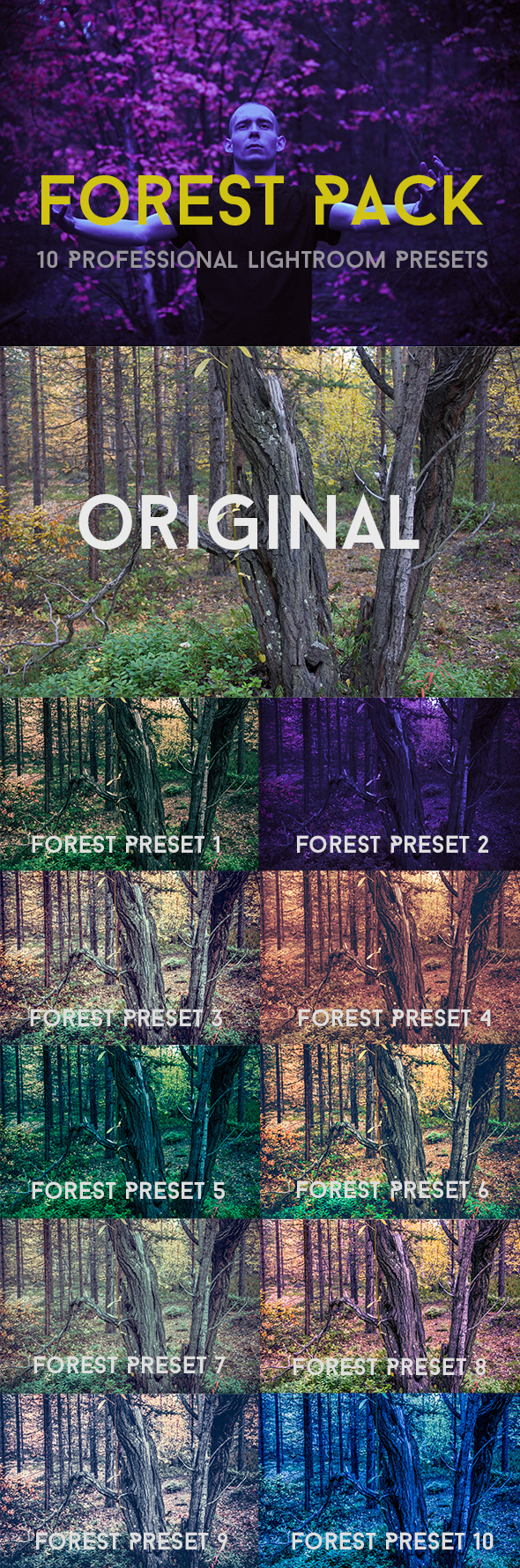 Forest Pack 10 Professional Lightroom Presets