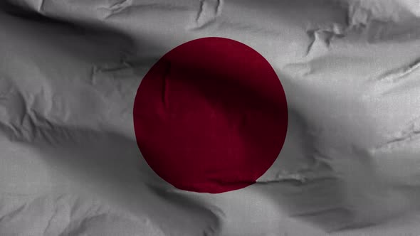 Japan Flag Textured Waving Background 4K alt