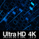 Futuristic Concept of Internet Server Data 4K - VideoHive Item for Sale