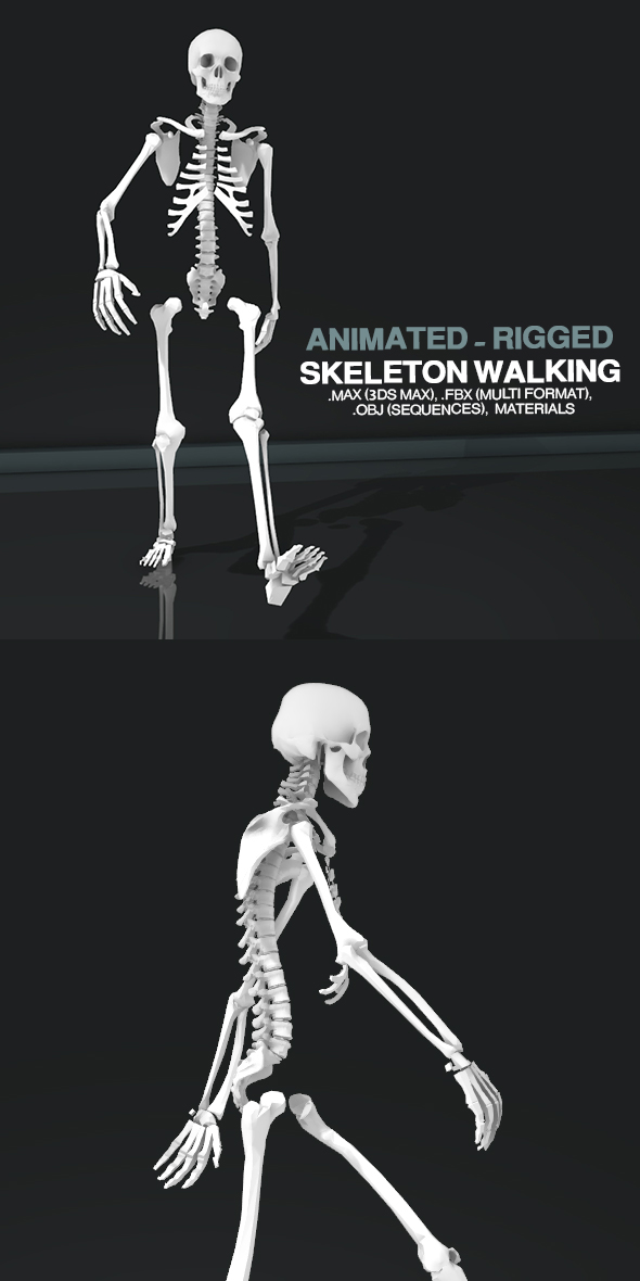 Skeleton Walking - 3Docean 21138514