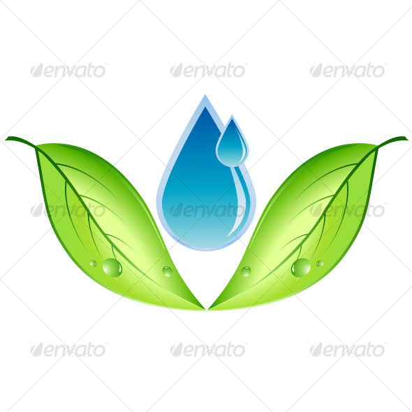 Leaf and water drop