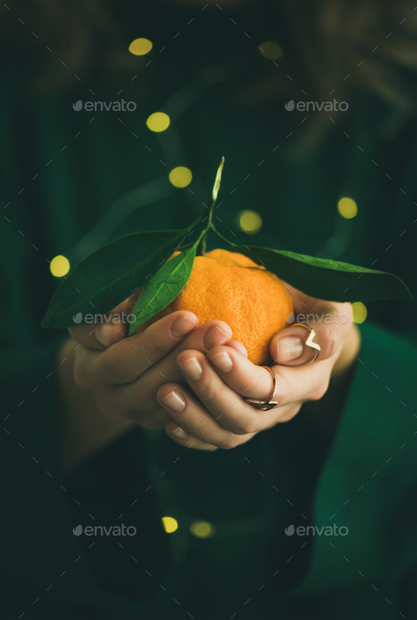 Tangerine fruit in hands of lady wearing green dress - Stock Photo - Images