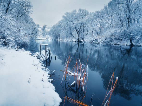 Landscape with snowy trees in winter forest - Stock Photo - Images