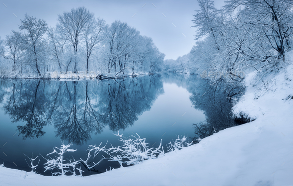 Landscape With Snowy Trees In Winter Forest Stock Photo By Den Belitsky