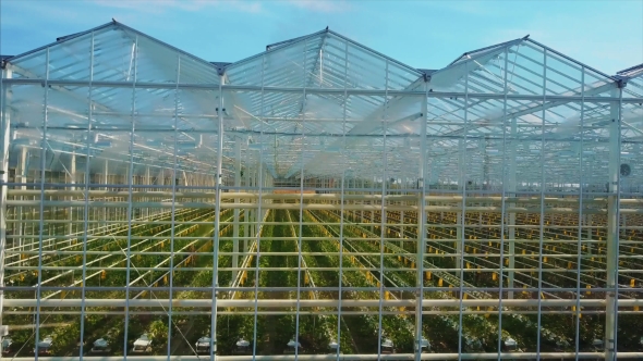 Aerial Video of Greenhouses alt