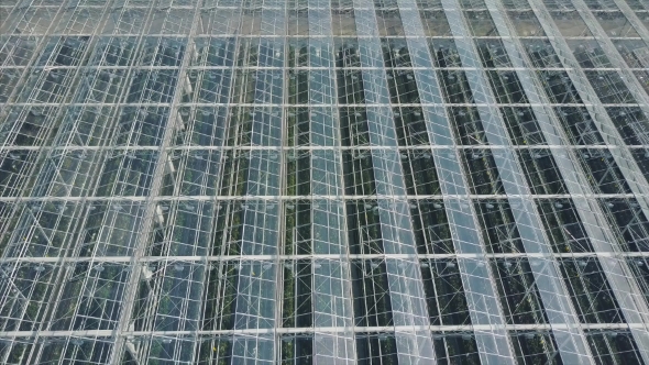 Aerial Video of Greenhouses alt