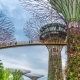 Futuric Super Trees in Garden By the Bay at Singapore - VideoHive Item for Sale
