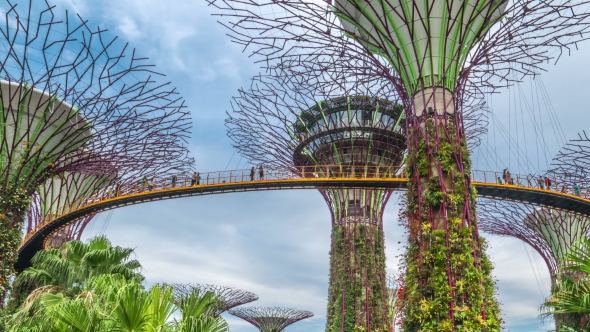 Futuric Super Trees in Garden By the Bay at Singapore alt