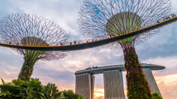 Sunset at the Futuric Gardens By the Bay in Singapore. August 2017 alt