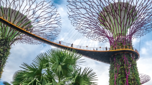 Landscape of Gardens By the Bay in Singapore. August 2017 alt