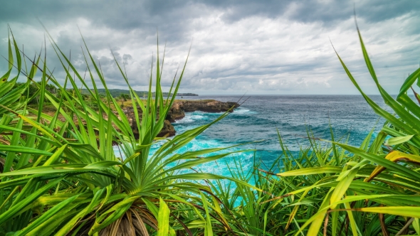 A  View of the Rocks and the Ocean Through the Leaves of Tropical Plants on the Island of Nus alt