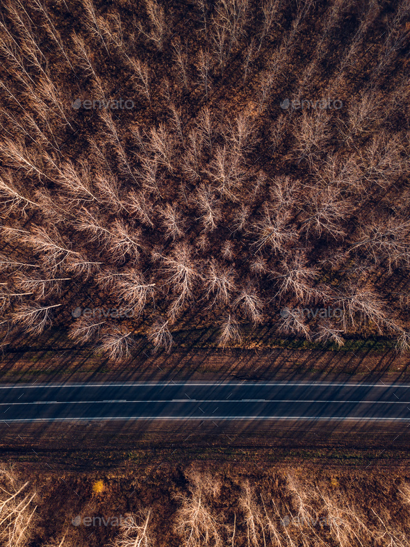 Aerial view of brand new road through autumn forest - Stock Photo - Images