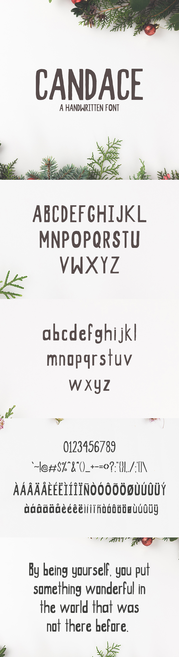Candace A Handwritten Font - Hand-writing Script