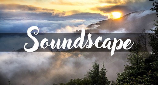 Ambient and soundscape