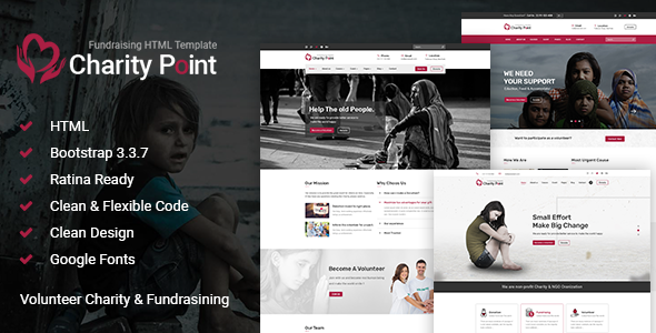 Charity Point - ThemeForest 21088228