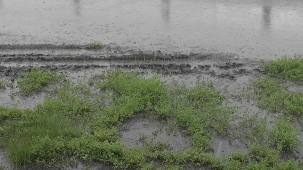 Heavy Rain Shower in the Sunshine of Springtime or Summer Nature