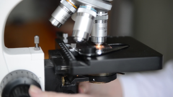 Scientist Using a Microscope in a Laboratory