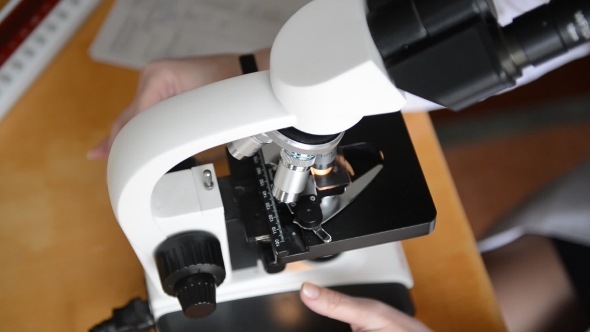Scientist Using a Microscope in a Laboratory