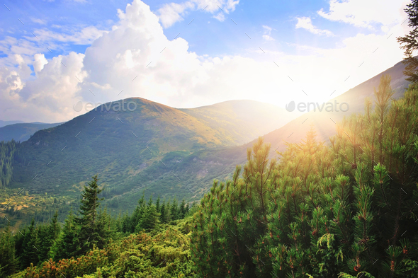 Fantastic day in a beautiful place in sunlight. Dramatic and pic - Stock Photo - Images