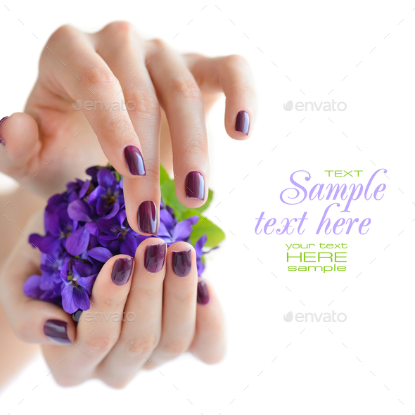 Hands of a woman with dark purple manicure on nails and bouquet