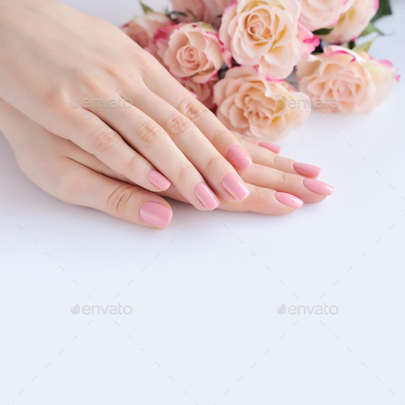 Hands of a woman with pink manicure on nails and roses against w