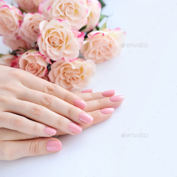 Hands of a woman with pink manicure on nails and roses against w