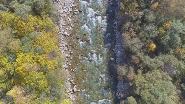 Top Down View of Fast Moving River Surrounded By Forest